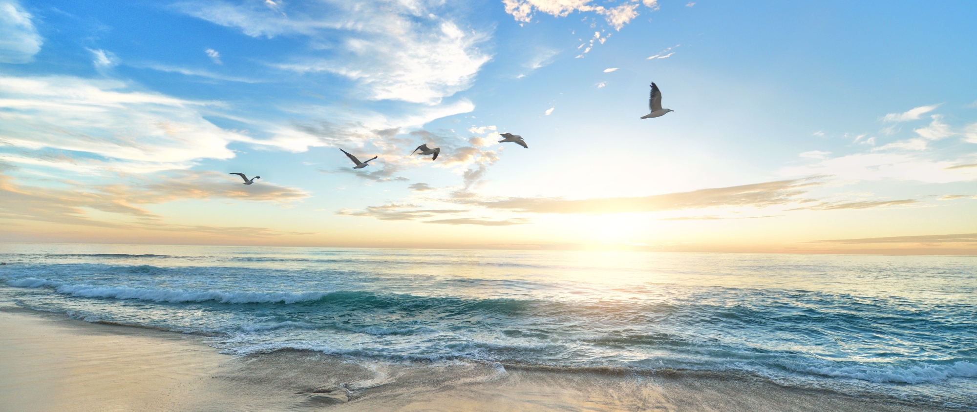 Live a new life<br/><sub>St Angela Merici</sub>