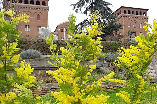 Le printemps à Rome