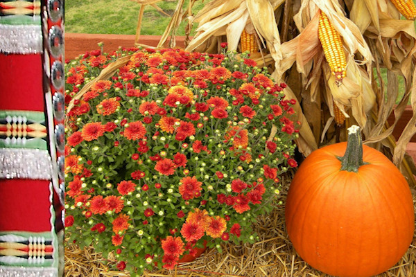 November, a month of Gratitude